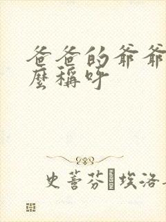 爸爸的爷爷叫什么称呼