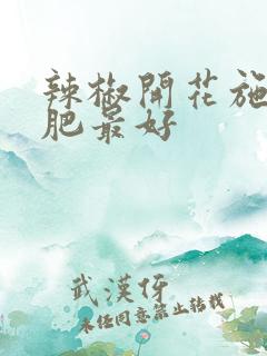 辣椒开花施什么肥最好