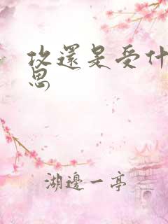 攻还是受什么意思