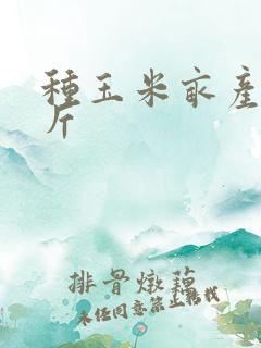 种玉米亩产多少斤