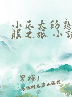 小正太的熟女征服之旅 小说