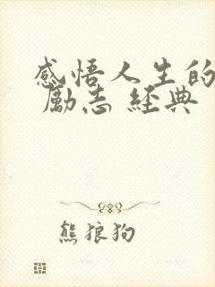 感悟人生的句子 励志 经典