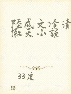 陆成文冷清秋龙傲天小说