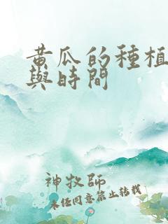 黄瓜的种植方法与时间