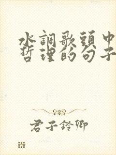 水调歌头中蕴含哲理的句子是