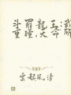 斗罗龙王:武魂重瞳,天命所归