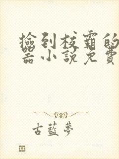 捡到校霸的遥控器小说免费阅读