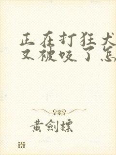 正在打狂犬疫苗又被咬了怎么办