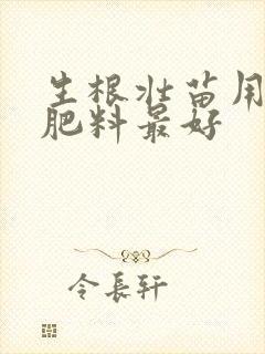 生根壮苗用什么肥料最好