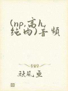 (np,高h,纯肉)音频