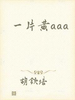 一片黄aaa