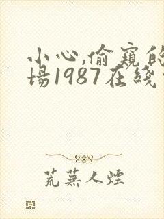 小心,偷窥的下场1987在线观看