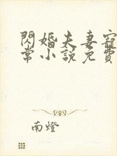 闪婚夫妻宠娃日常小说免费