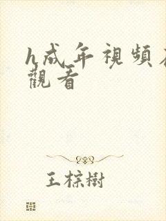 h成年视频在线观看