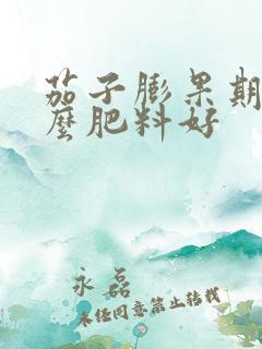 茄子膨果期用什么肥料好