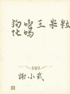 狗吃玉米粒能消化吗