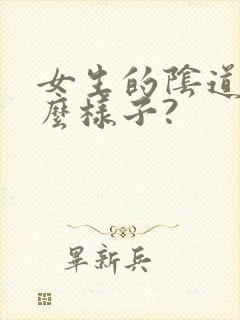 女生的阴道长什么样子?