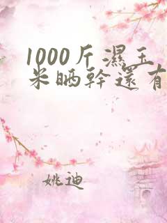 1000斤湿玉米晒干还有多少斤