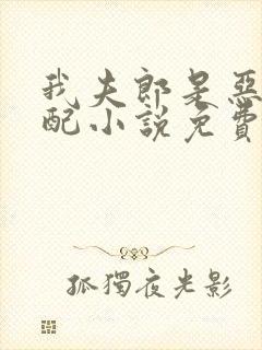 我夫郎是恶毒男配小说免费阅读