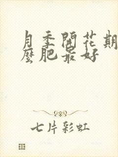 月季开花期施什么肥最好