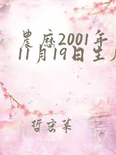 农历2001年11月19日生辰八字