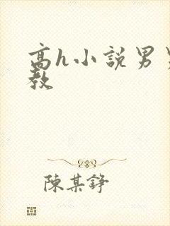 高h小说男男调教