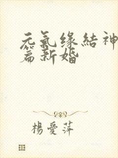 元气缘结神过去篇新婚