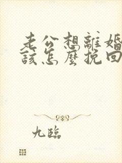 老公想离婚老婆该怎么挽回