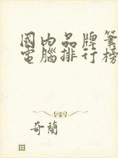 国内品牌笔记本电脑排行榜前十名
