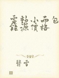 电动小面包车新能源价格
