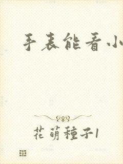 手表能看小说吗