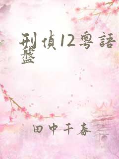 刑侦12粤语网盘