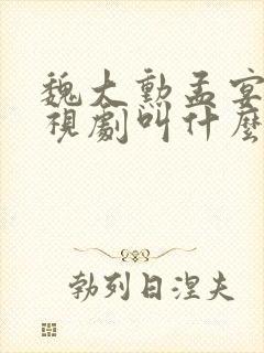 魏大勋孟宴臣电视剧叫什么