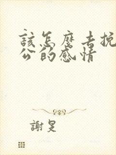 该怎么去挽回老公的感情