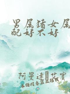 男属猪女属鼠婚配好不好