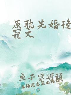 原耽先婚后爱甜宠文