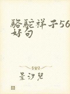 骆驼祥子56章好句