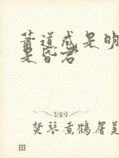 萧道成是明君还是昏君