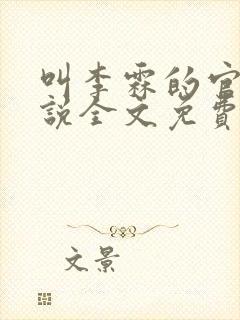 叫李霖的官场小说全文免费阅读