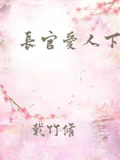 长官爱人下载