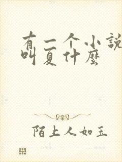 有一个小说女主叫夏什么