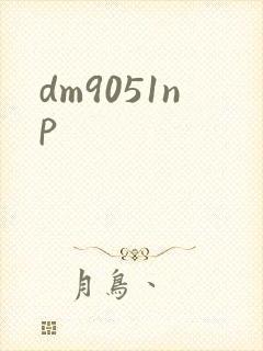 dm9051np