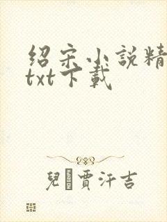 绍宋小说精校版txt下载