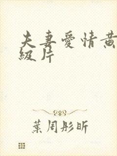 夫妻爱情黄色一级片