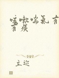 咳嗽喘气有鸣音有痰