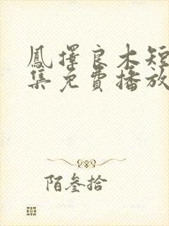 凤择良木短剧全集免费播放