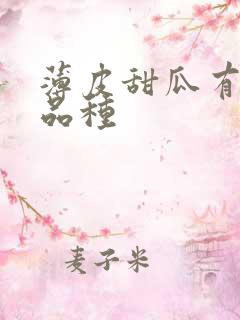 薄皮甜瓜有哪些品种