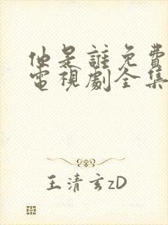 他是谁免费观看电视剧全集