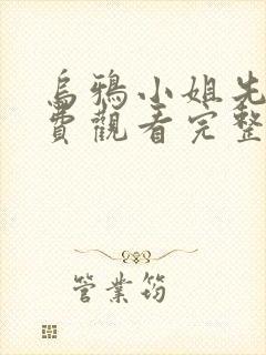 乌鸦小姐先生免费观看完整版电视剧