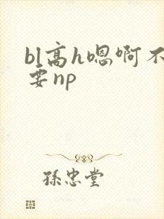 bl高h嗯啊不要np